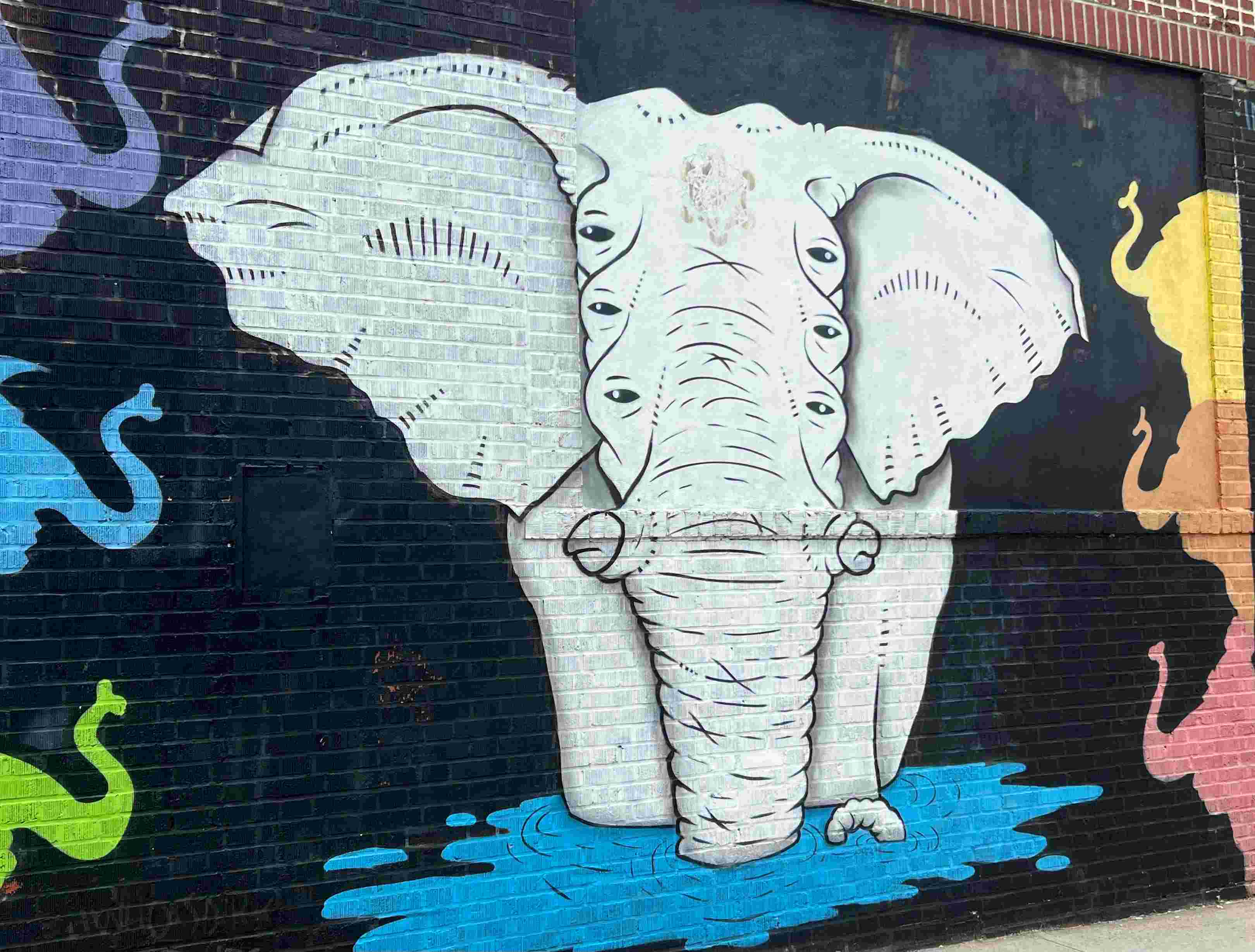 Strange gray elephant with four sets of eyes against a black background with multi-colored silouettes of six elephants